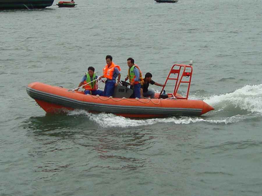 CEMA 550 RIB (IM)