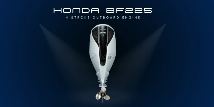 Alternative view of BF 225