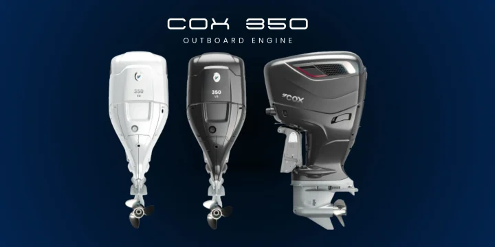 Alternative view of COX 350
